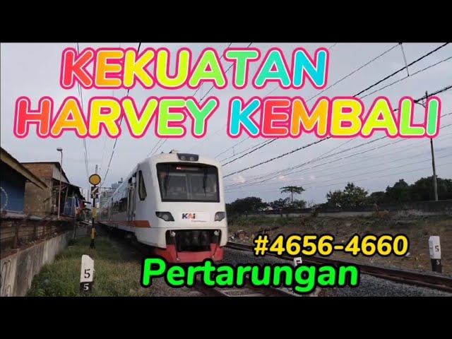 KEKUATAN HARVEY KEMBALI #4655-4660|PERTARUNGAN class=