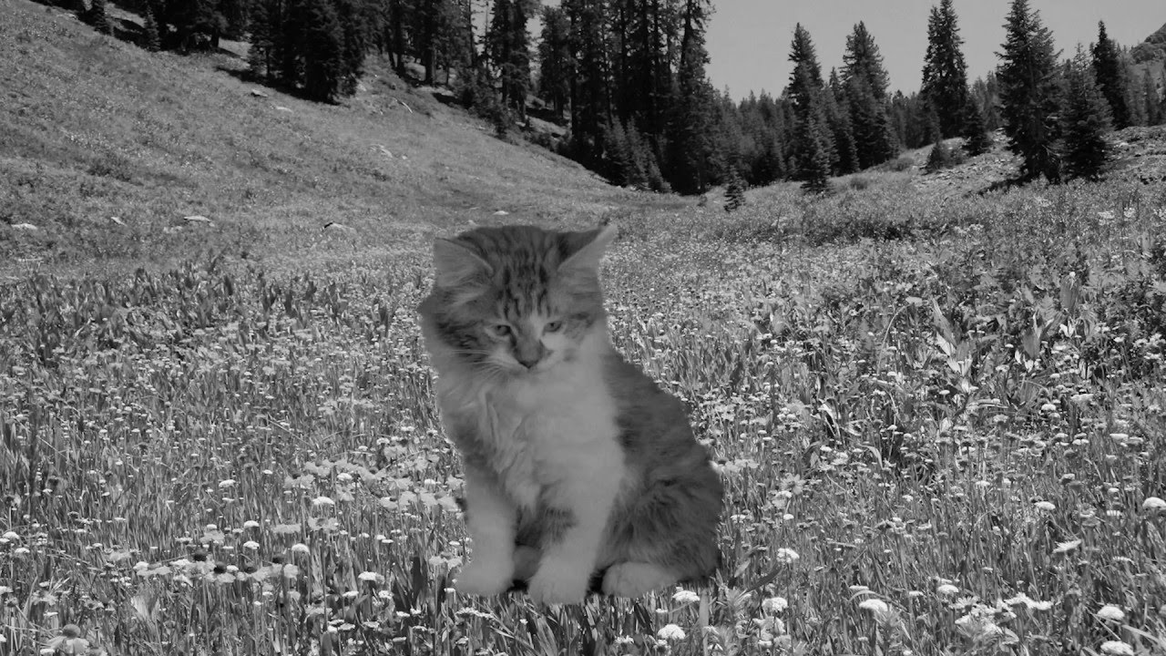 Guarda Minor Victories - Scattered Ashes (song for Richard) su YouTube Guarda Minor Victories - Scattered Ashes (song for Richard) su YouTube