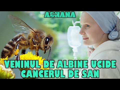 Video: Analiza Peptidomică A Veninului Albinei Solitare Xylocopa Appendiculata Circumvolans