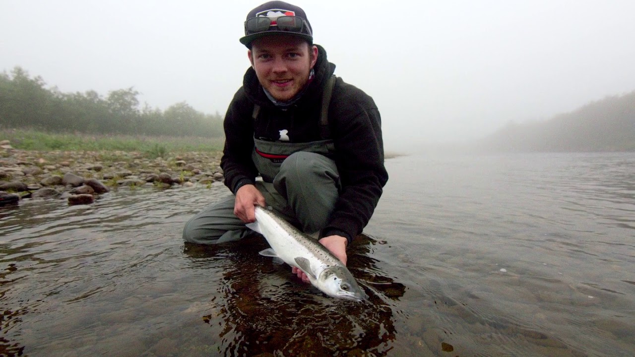 Atlantic Salmon Norway 2017 Flyfishing (Orkla)