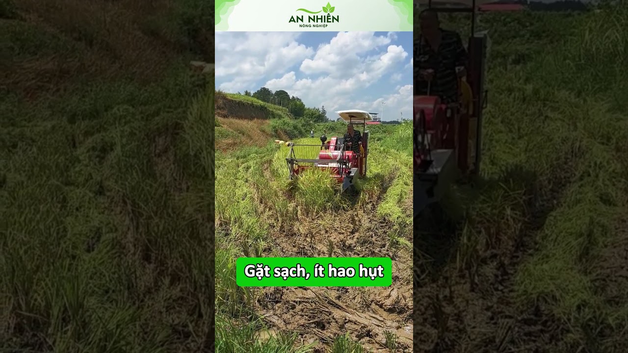 Máy gặt mini 1.6 Cros động cơ đầu nổ khoẻ, năng suất lớn 