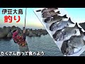 【魚の楽園】伊豆大島で魚釣りまくって食べまくる企画【完全版】