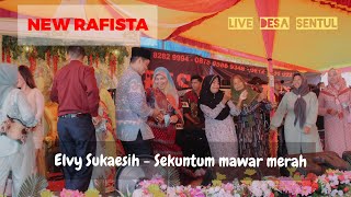 NEW RAFISTA Musik Palembang \