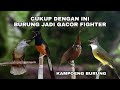 MASTERAN KOMBINASI VIDEO ASLI JERNIH REAL BIKIN GACOR