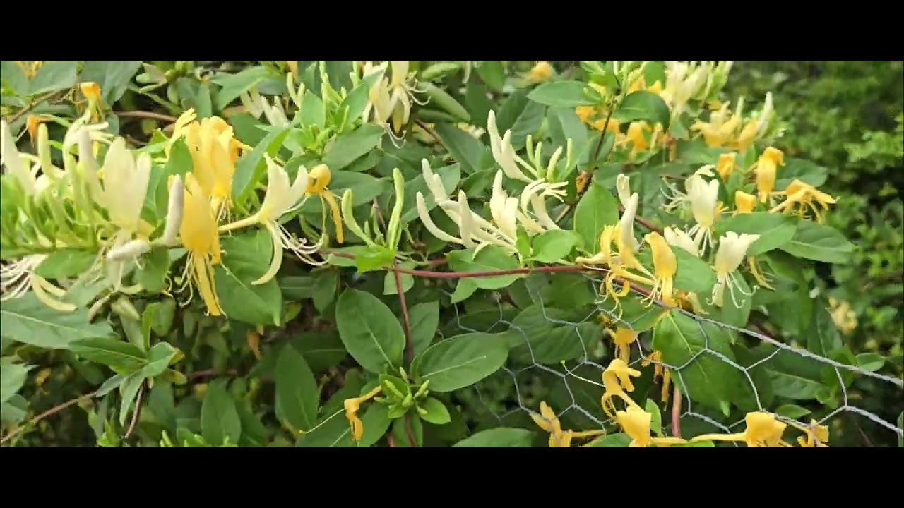 Bryan MacKK x DJ Wardove - Just Doin' Me