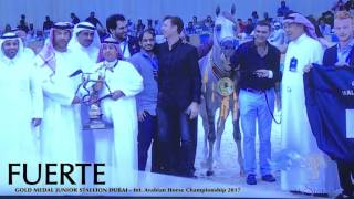 IMG 1939 IMG 1939