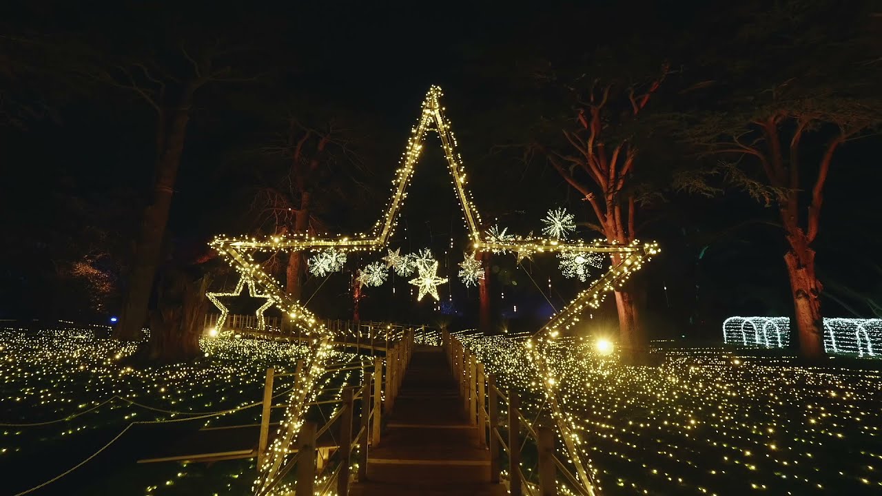 Christmas at Wollaton | 2021