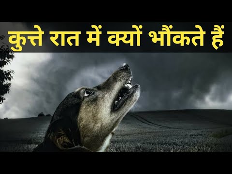 Why Dogs Bark At Night | कुत्ते रात में क्यों भौंकते हैं | Facts Asia.