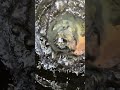 One Gallon Jug Going Gremlin Mode Underwater