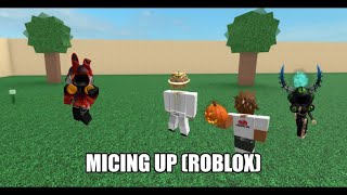Micing Up With Roblox Oders And Robangers On Discord Packing