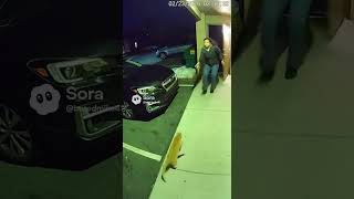 cat firing gun at apartment complex. #funnyvideos #funnycats #comedyshorts #trendingshorts #fyp