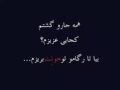 محسن چاوشی کجایی 