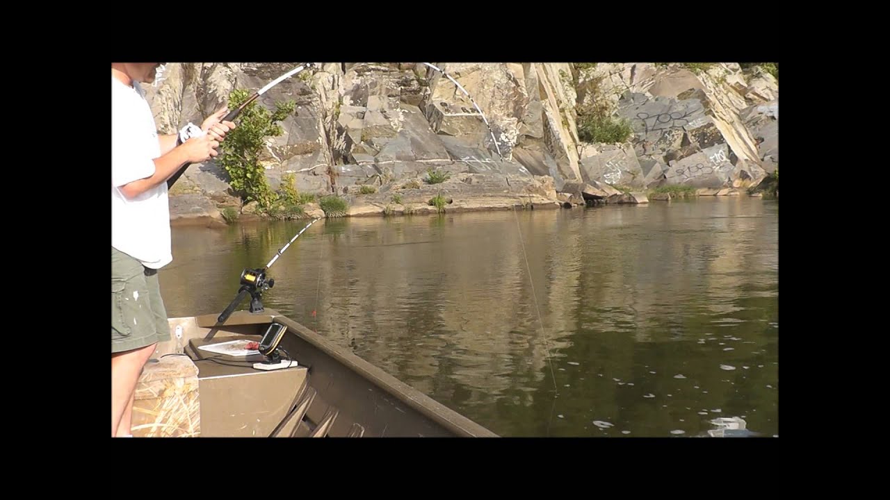 Big Blue Catfish on Potomac River YouTube