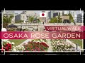 【VIrtual Walk】Osaka Nakanoshima Park Rose Garden #中之島バラ #中之島公園 #virtualwalk