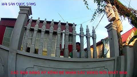 dựng hàng rào bê tông,mẫu tài phú chìm.