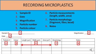 Count Sheet Tutorial: microplastics and microscopes