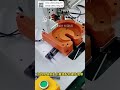 Ceiling Fan Motor Circlip Assembly Machine High Efficiency Cost Saving Auto Machinery