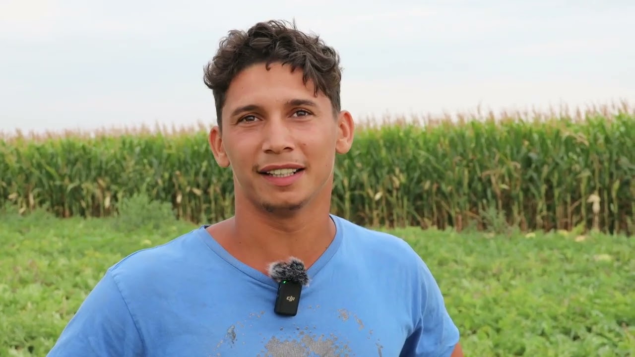 PRO BANAT  cu Nicoleta Voica și Alin Bagiu