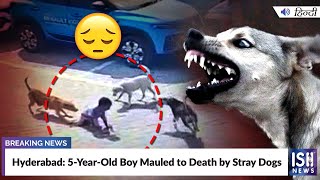 Hyderabad: 5-Year-Old Boy Mauled to Death by Stray Dogs | ISH News