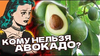 АВОКАДО - Кому Нельзя Есть? Вред авокадо: чем опасен экзотический фрукт?