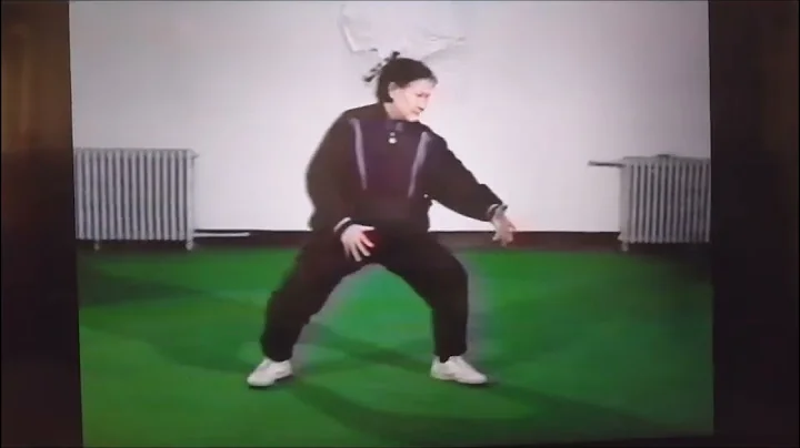 Matre Wang Yu Fang  fille du fondateur du Yi Quan .
