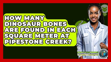 How Many Dinosaur Bones Are Found in Each Square Meter at Pipestone Creek? - Earth Science Answers