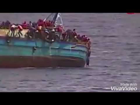 على سالم مركب رشيد