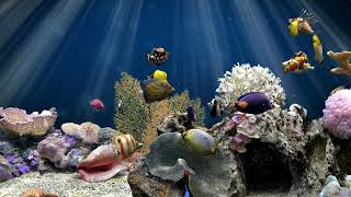 Calming Fish Tank Water Sounds For Relaxing | Tropical Aquarium | 2 Hours