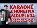 CHOREI NA VAQUEJADA - KARAOKÊ VEEP