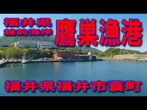 #174福井県鷹巣漁港越前海岸投げサビキ釣り道の駅さかい道の駅みくにふれあいパーク三里浜ファミリーマート川尻店国道305号国民宿舎鷹巣荘車横付け釣りえちぜん鉄道三国芦原線九頭竜川足場が良いきれいな海