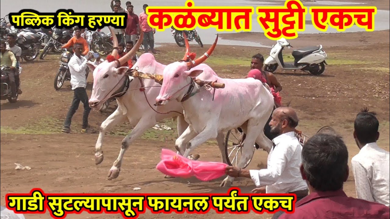 आज हरण्या कळंब्यात एक | सुटल्यापासून फायनल पर्यंत गाडी एकच | बंडा खिलारे | harnya bail in kalamba