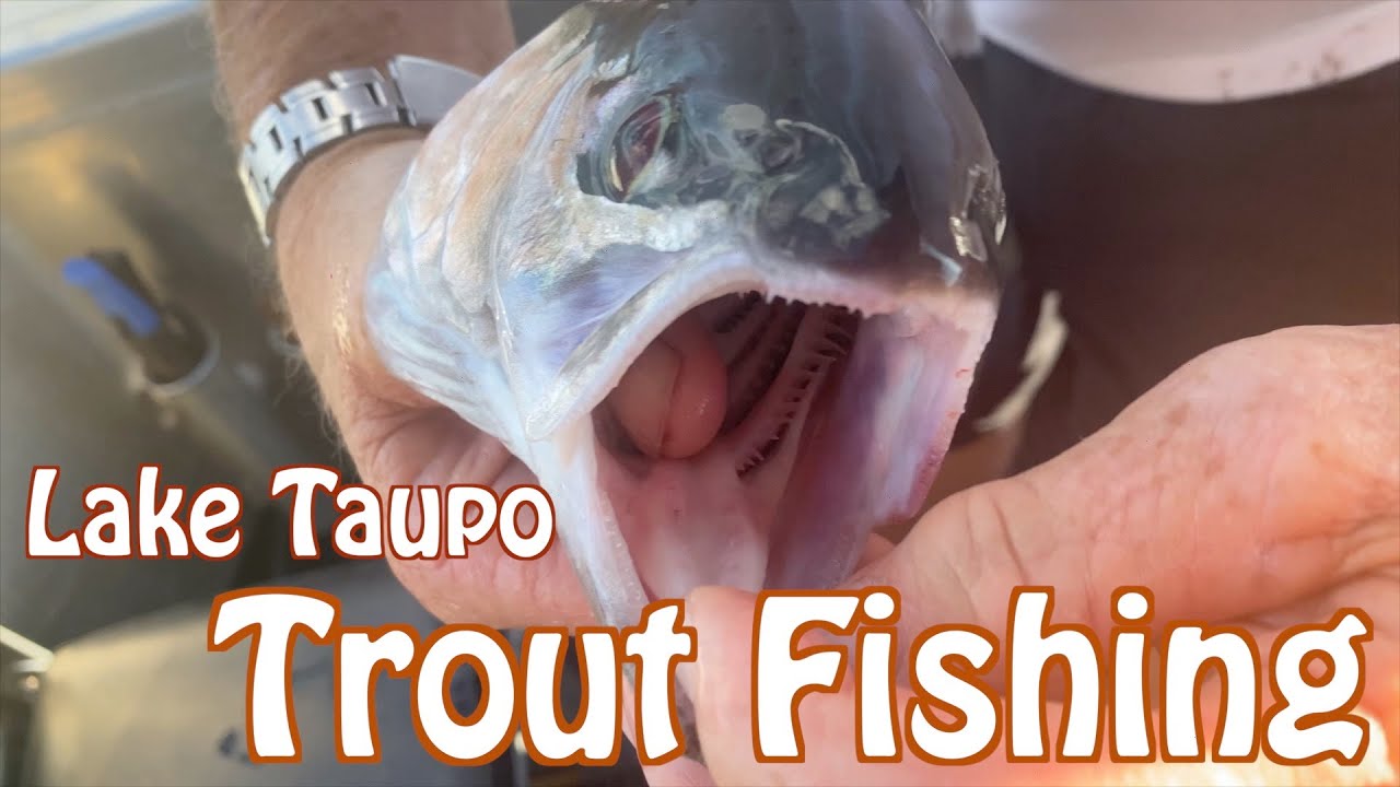 Lake Taupo Trout Fishing // New Zealand 🇳🇿 YouTube