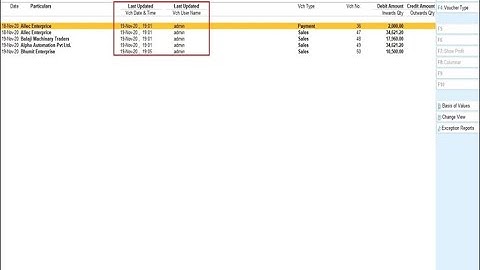 Tally Add On : Display Voucher Last Updated System Date & Time in Day Book in TallyPrime Software.