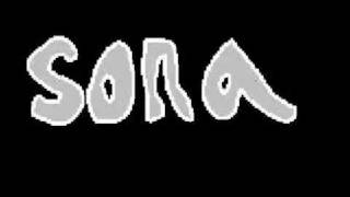 Introduction to Sona