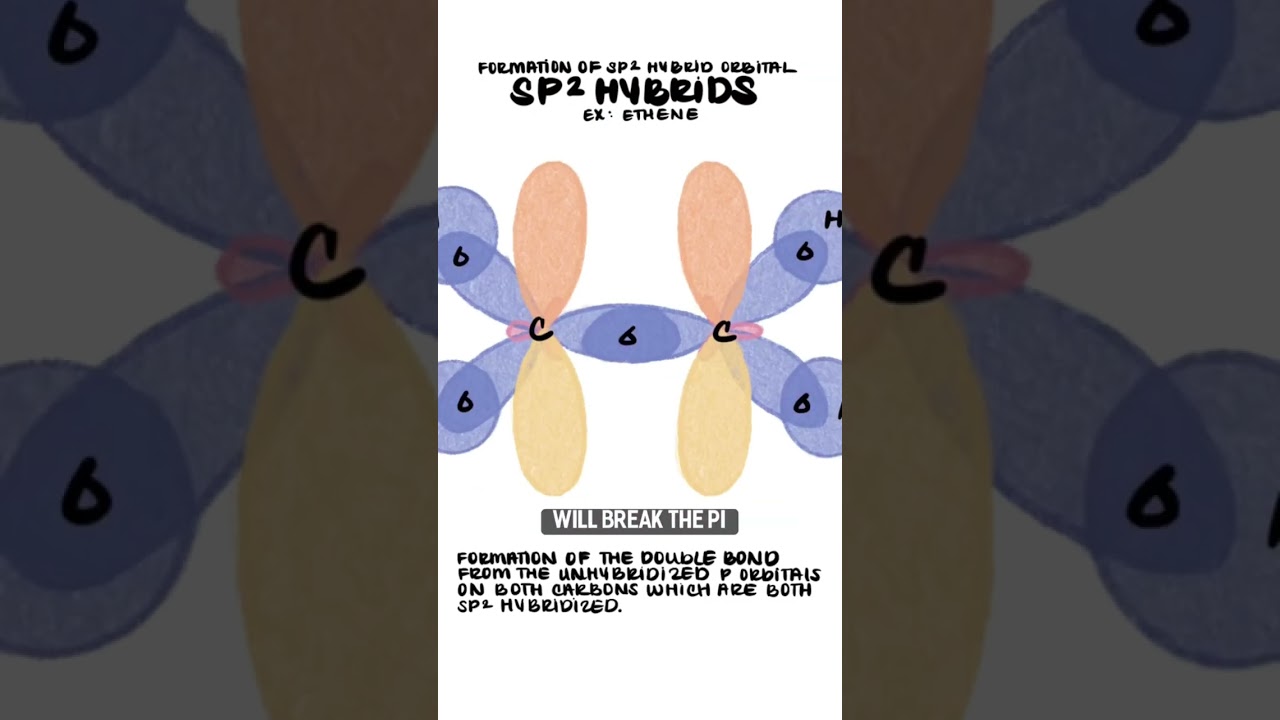 Introduction to cis and trans Alkenes - Organic Chemistry 