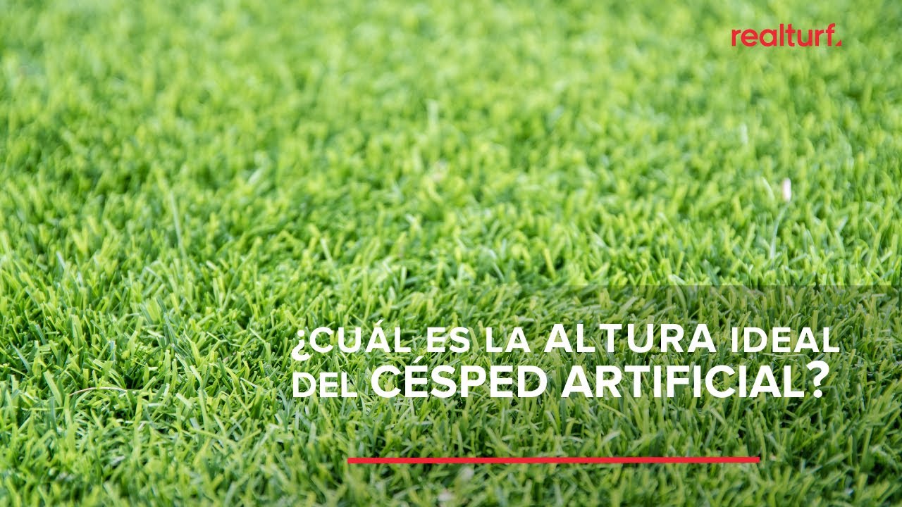 Césped Artificial - Los 10 Mejores 2024, Calidad y Barato