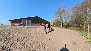 March 2026 | Irene Veltman & Maeve | (OLHA) Starter