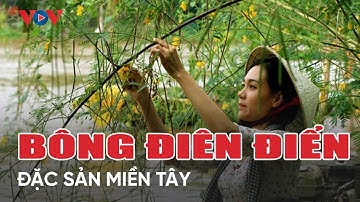 Bông điên điển đặc sản mùa nước nổi Miền Tây