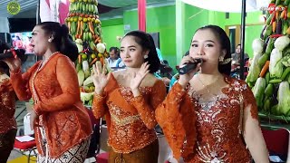 SRAGENAN COKEK | SETYO TUHU SIDO MUKTI SIDO MULYO KELINCI UCUL - CAMPURSARI PJP COKEK MANIA