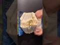 Book Folding; Inspire