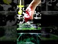 水の音だけでラビットホール/DECO*27を演奏してみた!