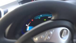 Leaf Short Drive And Walk Around