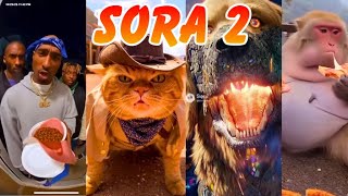 Ai Has Completely Snapped Funniest Sora 2 Moments You Wont Believe