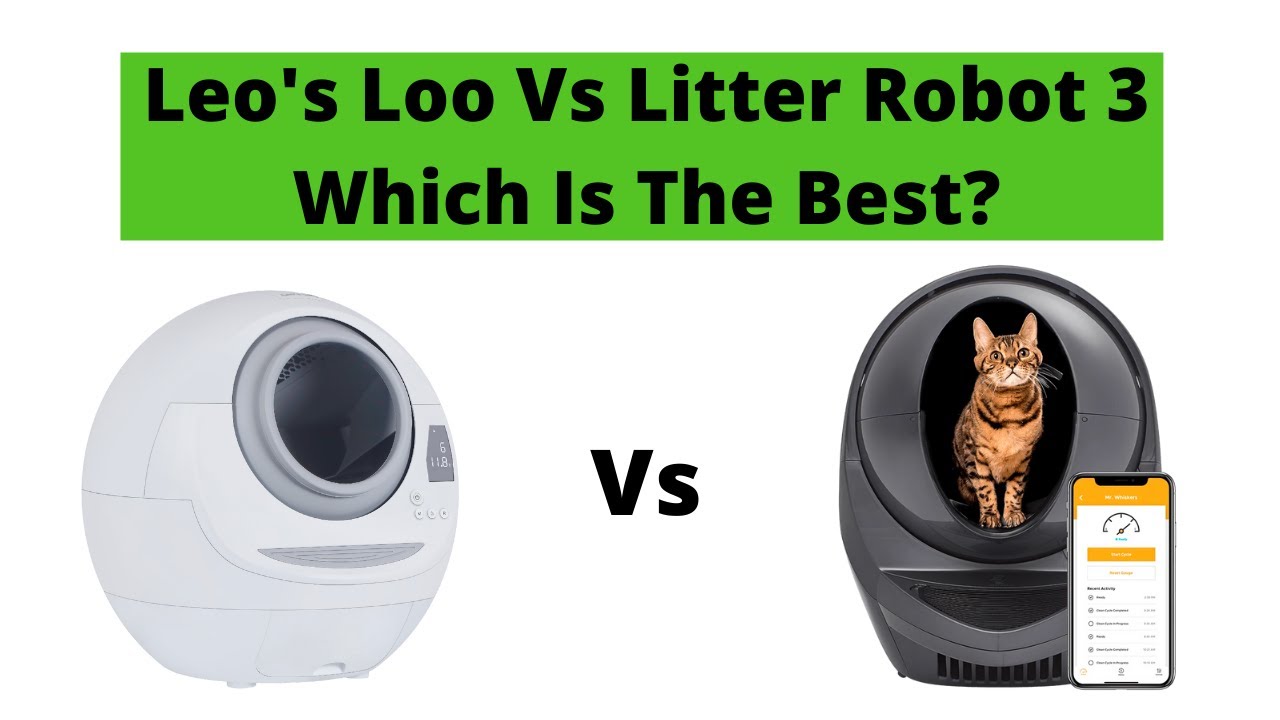Leo's Loo vs Litter Robot 3 YouTube