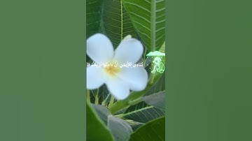 #قران_كريم #ارح_قلبك #اكسبلور #لايك #تلاوة_هادئة #إشتراك #ارح_قلبك