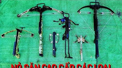 NỎ SĂN CÁC LOẠI SỮ DỤNG BI SẮT VÀ MŨI TÊN ĐỘ CHUẨN 25 MÉT ĐẾN 120 MÉT TÙY MẪU | NỎ SĂN VIỆT NAM