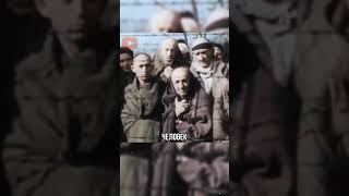 Сталина дважды номинировали на Нобелевскую премию мира
