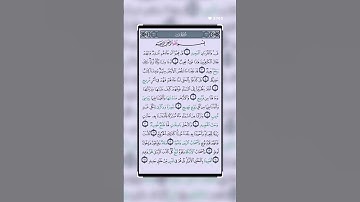 القران الكريم بصوت جميل💕😍 سورة ق #تيك_توك #اكسبلور #القرآن_الكريم #answer #duet #لايك #دويتو #ترند