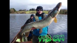 Gros brochet de 112 et 106cm au jerkbait en Irlande