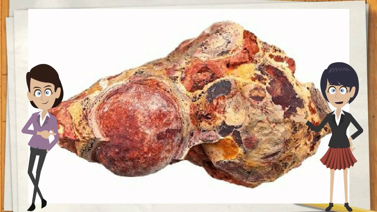 Interesting Music Video Book For Kids About Rocks - YouTube